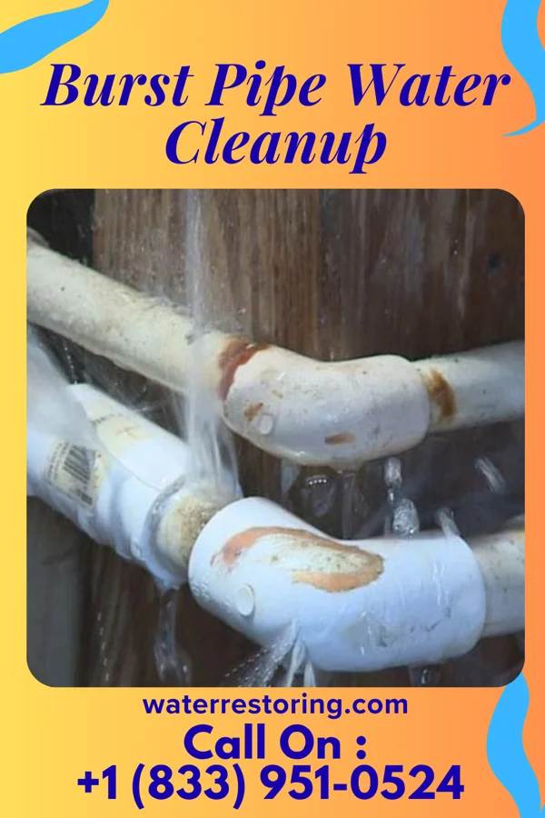 Burst Pipe Water Cleanup in New Oxford, PA