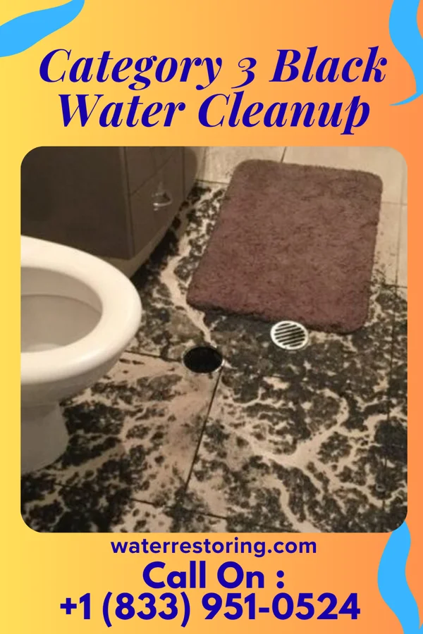 Category 3 Black Water Cleanup in New Oxford, PA
