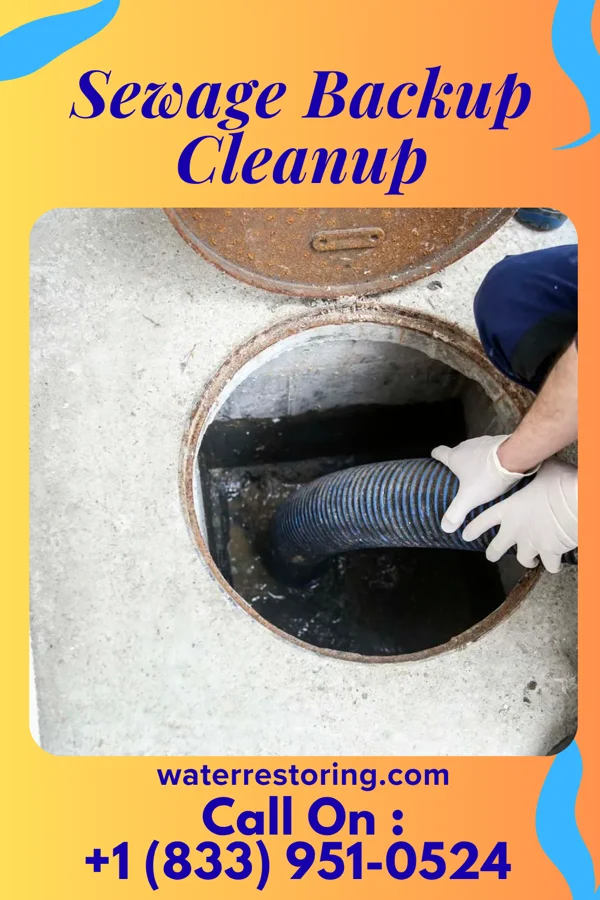 Sewage Backup Cleanup in New Oxford, PA