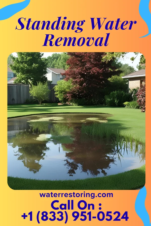 Standing Water Removal in New Oxford, PA